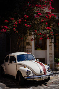 car and colorful flowers in tree photographed by boston travel photographer nicole loeb