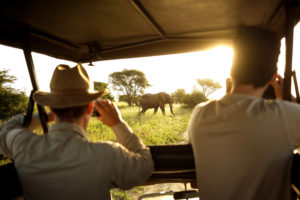father and son photograph elephants in Tanzania safari photographed by boston travel photographer nicole loeb