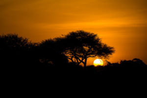 sunset in tanzania safari photographed by boston travel photographer nicole loeb