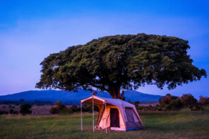 safari tent in tanzania photographed by boston travel photographer nicole loeb